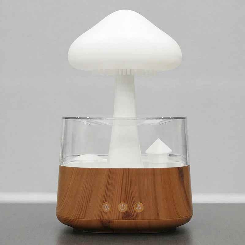 2-In-1 Rain Cloud Aromatherapy